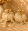 Golden Round Organza Potli Bag
